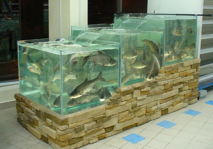 Промышленные аквариумы