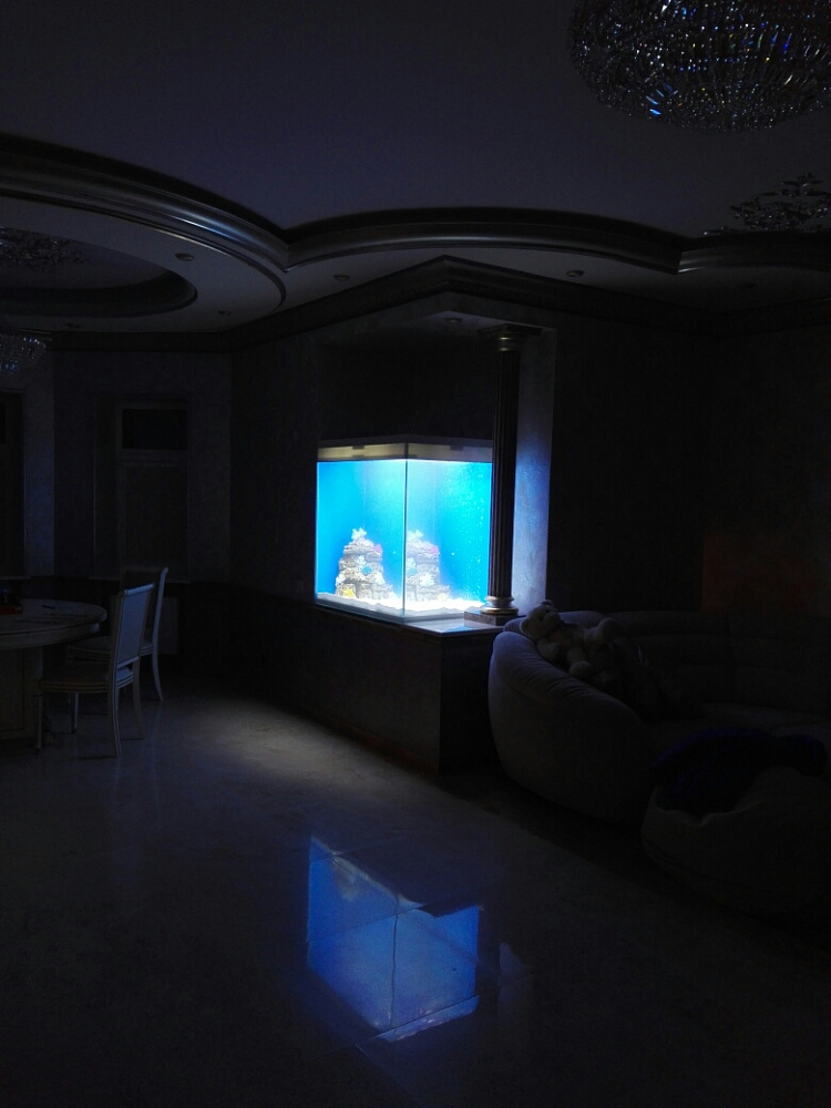 Встроенный аквариум по дизайн проекту